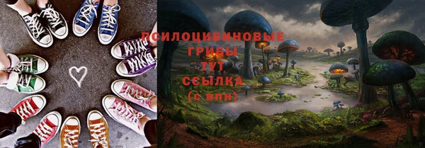 герыч Алексин