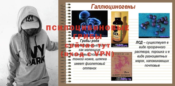 первитин Алексеевка