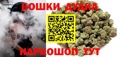 крисы Будённовск