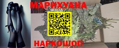 крисы Будённовск