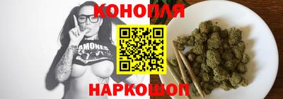 крисы Будённовск