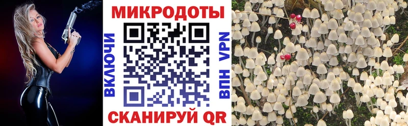 Галлюциногенные грибы прущие грибы  цена наркотик  Глазов 