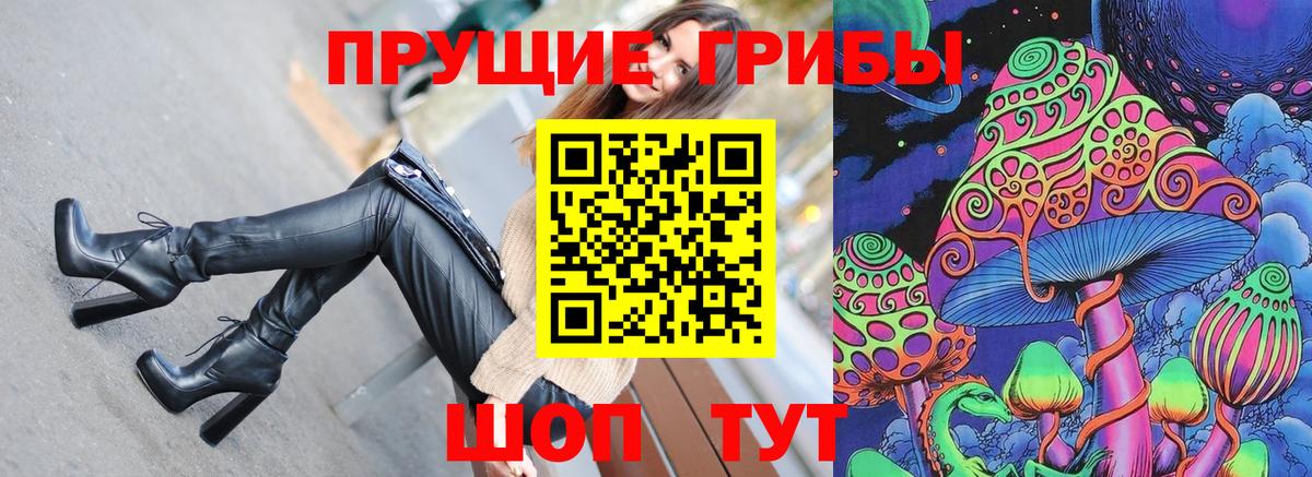 Галлюциногенные грибы Psilocybe  Вход с VPN  Глазов 