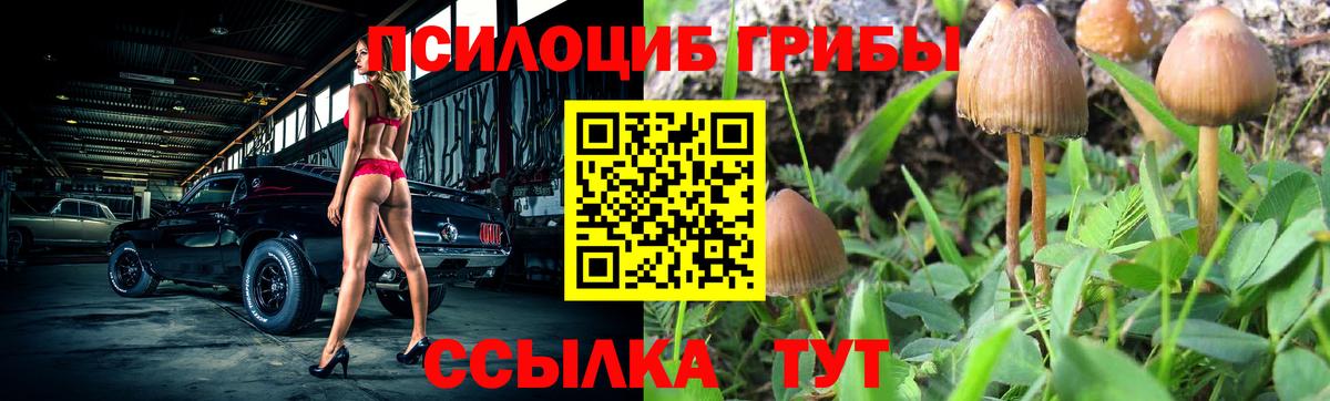 Псилоцибиновые грибы GOLDEN TEACHER Глазов