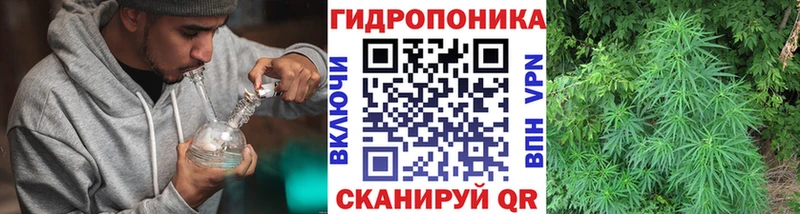 Каннабис AK-47  МЕГА зеркало  Глазов 
