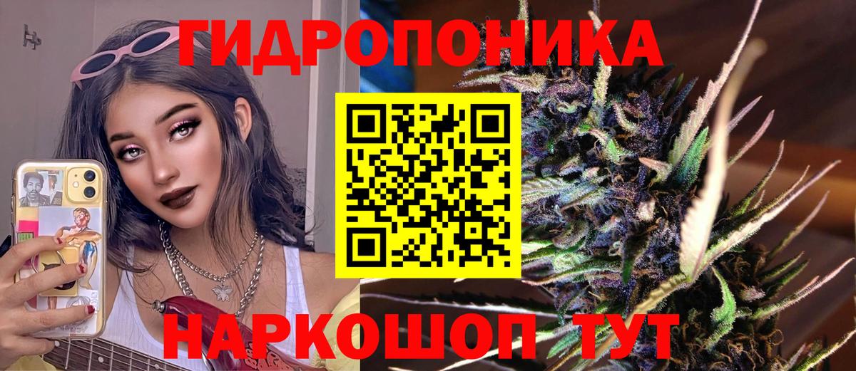 Шишки марихуана сатива  Бошки Шишки марихуана  Марихуана LSD WEED  Глазов  Вход с VPN 